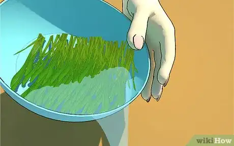 Imagen titulada Grow Wheatgrass at Home Step 11