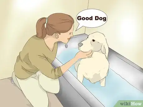 Imagen titulada Make an Oatmeal Bath for a Dog Step 4