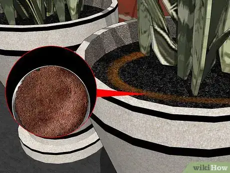 Imagen titulada Remove Ants from Potted Plants Step 13