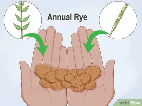 Imagen titulada Turn Clay Into Growing Soil Step 4