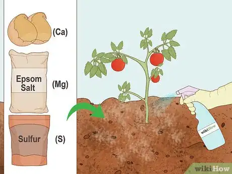 Imagen titulada Turn Clay Into Growing Soil Step 3