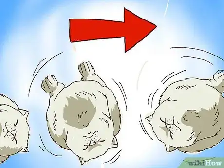 Imagen titulada Train Your Ferrets to Do Tricks Step 24