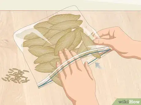 Imagen titulada Dry Bay Leaves Step 23