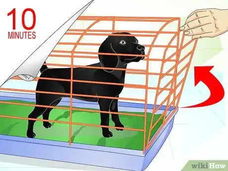 Imagen titulada Raise a Dog Step 10