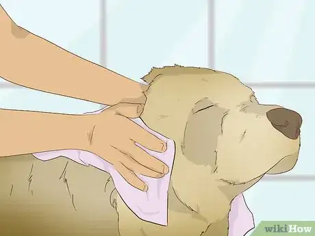 Imagen titulada Make an Oatmeal Bath for a Dog Step 8