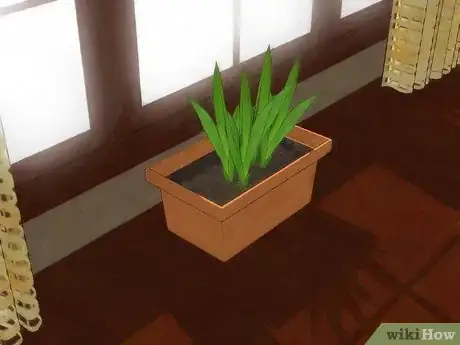 Imagen titulada Place Houseplants Around Your Home Step 6