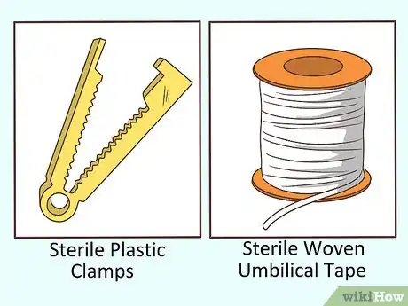 Imagen titulada Cut the Umbilical Cord of a Baby Step 8