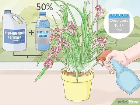 Imagen titulada Grow Cymbidium Orchids Step 5