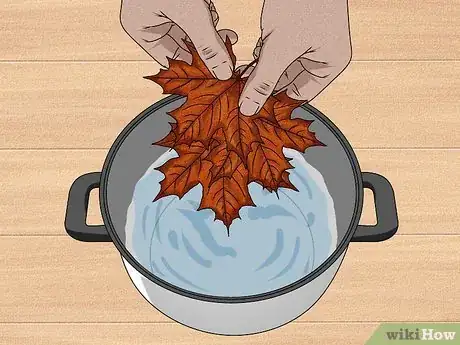 Imagen titulada Dry Leaves Step 17