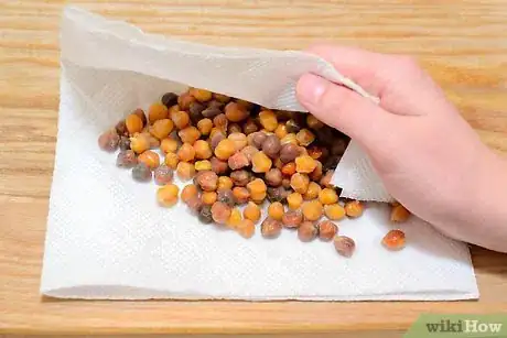 Imagen titulada Cook Chickpeas Step 16