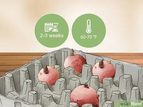 Imagen titulada Grow Red Potatoes Step 3