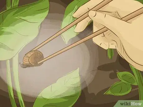 Imagen titulada Get Rid of Garden Snails Step 10