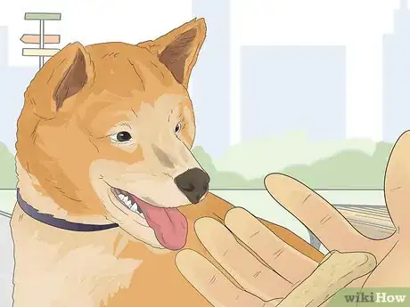 Imagen titulada Train a Shiba Inu Step 16