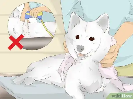 Imagen titulada Make an Oatmeal Bath for a Dog Step 6