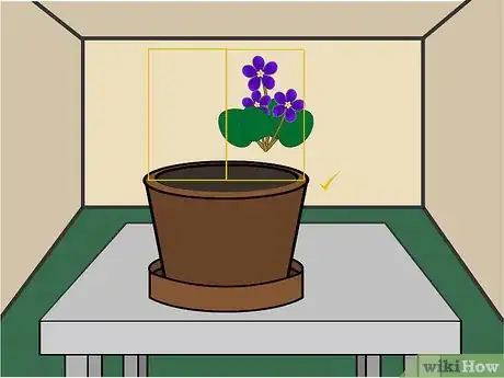 Imagen titulada Grow African Violets Indoors Step 02