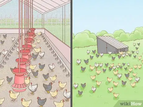 Imagen titulada Start a Chicken Farm Step 5