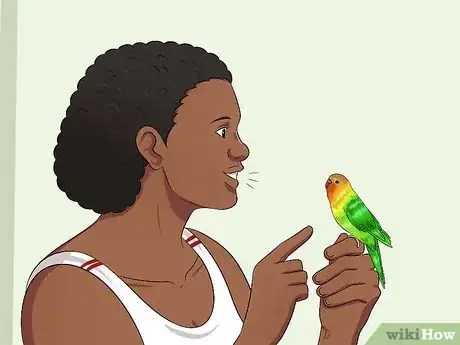 Imagen titulada Teach Your Budgie to Talk Step 4