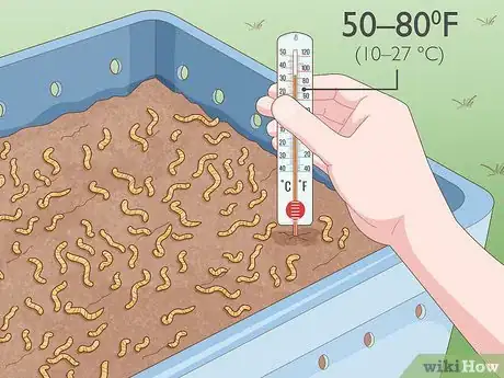 Imagen titulada Grow Your Own Fishing Worms Step 9