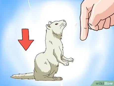 Imagen titulada Train Your Ferrets to Do Tricks Step 25