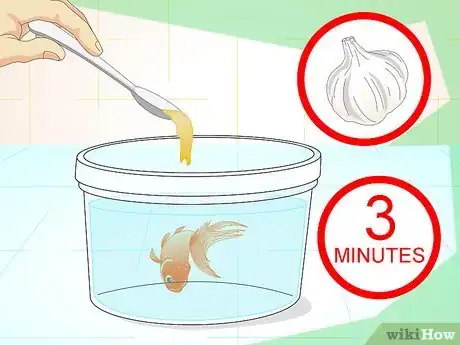 Imagen titulada Revive a Goldfish Step 13