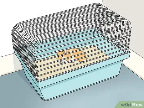 Imagen titulada Prevent and Treat Heat Stress in Hamsters Step 10