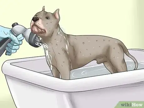 Imagen titulada Give Your Large Dog a Bath Step 14