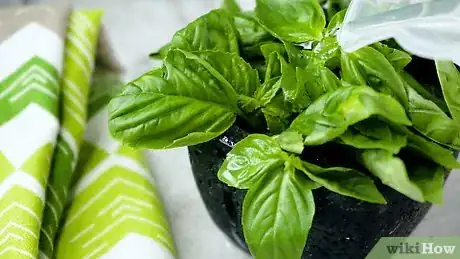 Imagen titulada Store Fresh Basil Step 19