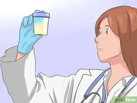 Imagen titulada Collect a Urine Sample from a Female Dog Step 13