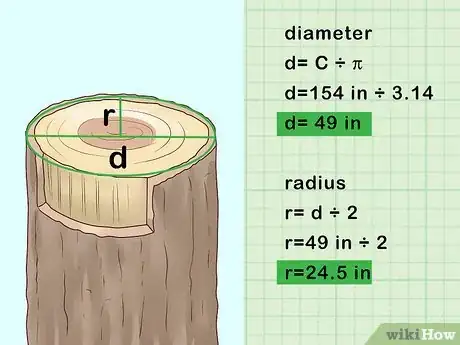 Imagen titulada Determine the Age of a Tree Step 2