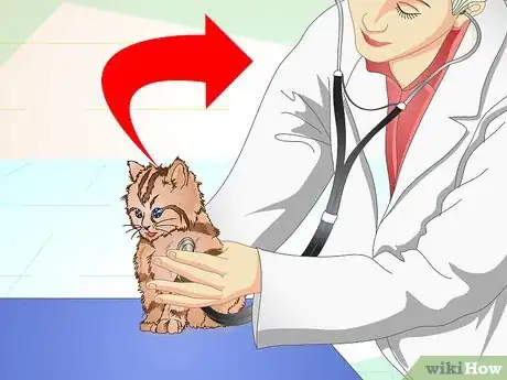 Imagen titulada Get a Sick Kitten to Eat Step 12