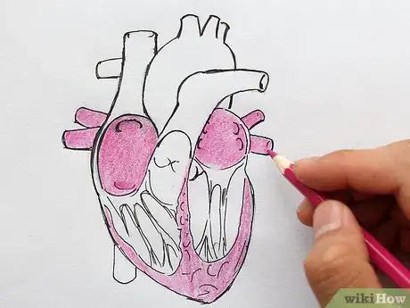 Imagen titulada Draw the Internal Structure of the Heart Step 12