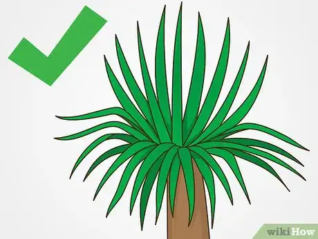 Imagen titulada Prune Yucca Plants Step 2