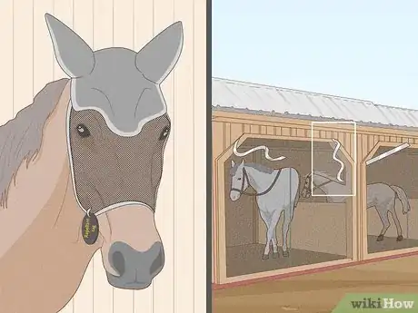 Imagen titulada Get Rid of Horse Flies Step 13