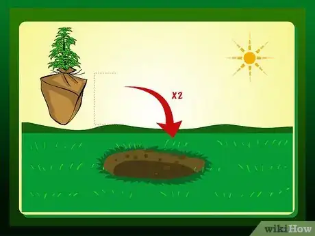 Imagen titulada Replant a Tree Step 12