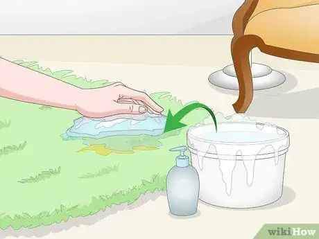 Imagen titulada Find Cat Urine With a UV Light Step 8