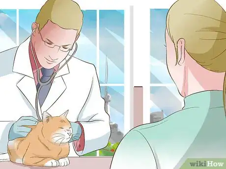 Imagen titulada Perform CPR on a Cat Step 1