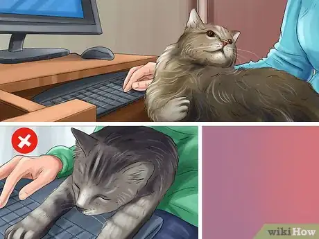 Imagen titulada Cat Proof Your Computer Step 11