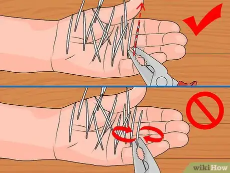 Imagen titulada Remove Porcupine Quills Step 19