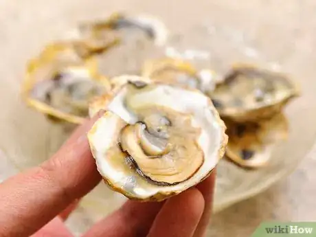 Imagen titulada Shuck Oysters Step 12