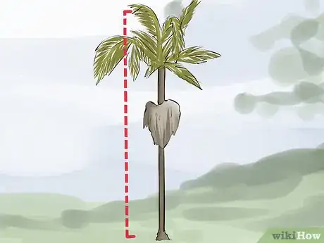 Imagen titulada Remove a Palm Tree Step 2