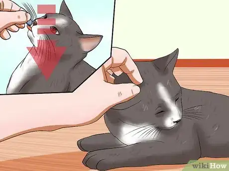 Imagen titulada Train Your Cat to Come to You Step 10