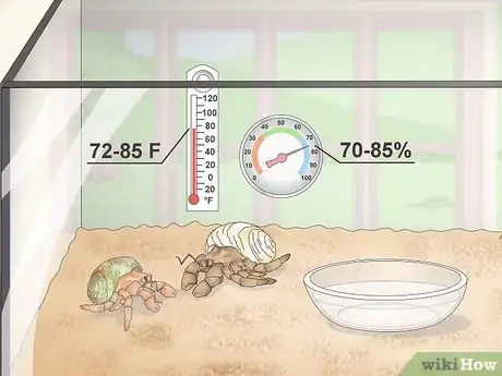 Imagen titulada Make Your Hermit Crab Live for a Long Time Step 9