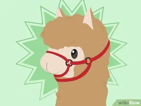 Imagen titulada Buy Alpacas Step 7