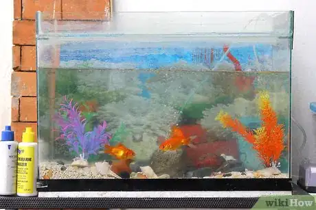 Imagen titulada Clean a Small Fishtank Step 2