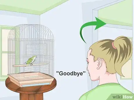 Imagen titulada Teach a Quaker Parrot to Speak Step 2