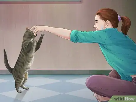 Imagen titulada Cat Proof Your Computer Step 14