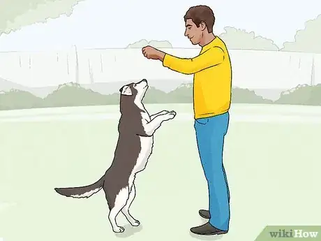 Imagen titulada Teach Your Dog to Dance Step 5