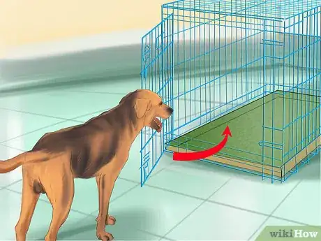 Imagen titulada Crate Train Your Dog or Puppy Step 21