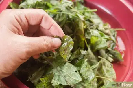 Imagen titulada Cook Turnip Greens Step 2