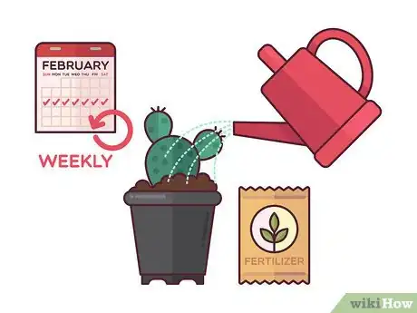 Imagen titulada Grow Cactus Indoors Step 10